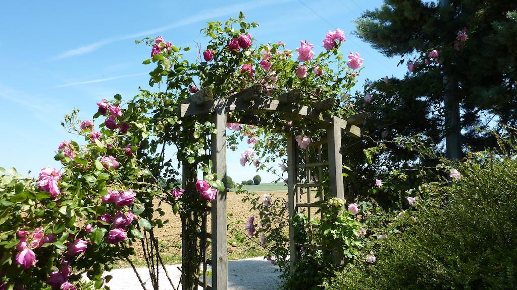 D'hotes La Treille Bed & Breakfast *